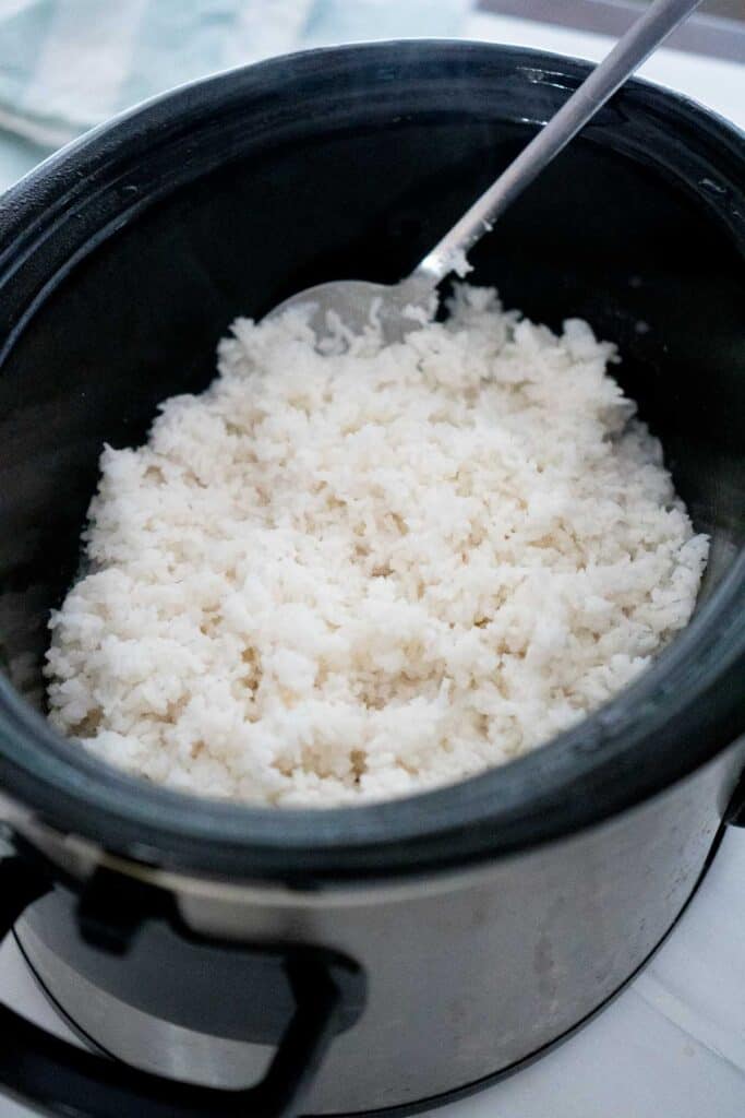 slow cooker with white rice