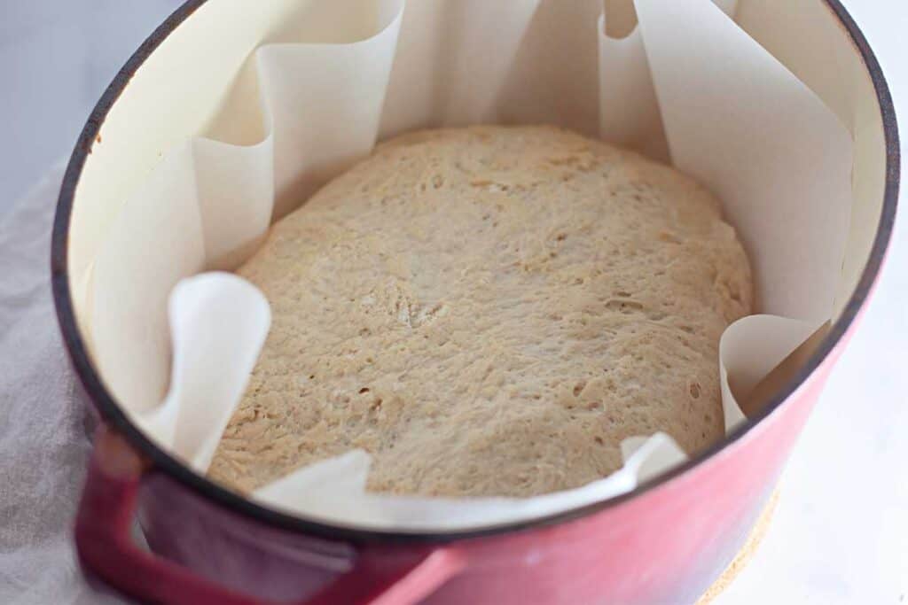 unbaked bread dough in Dutch oven with parchment paper