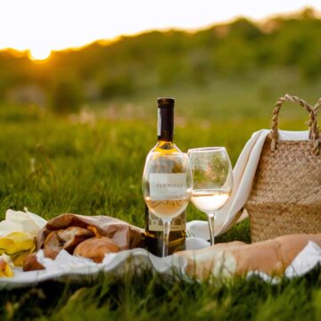 picnic with wine and picnic basket in the grass