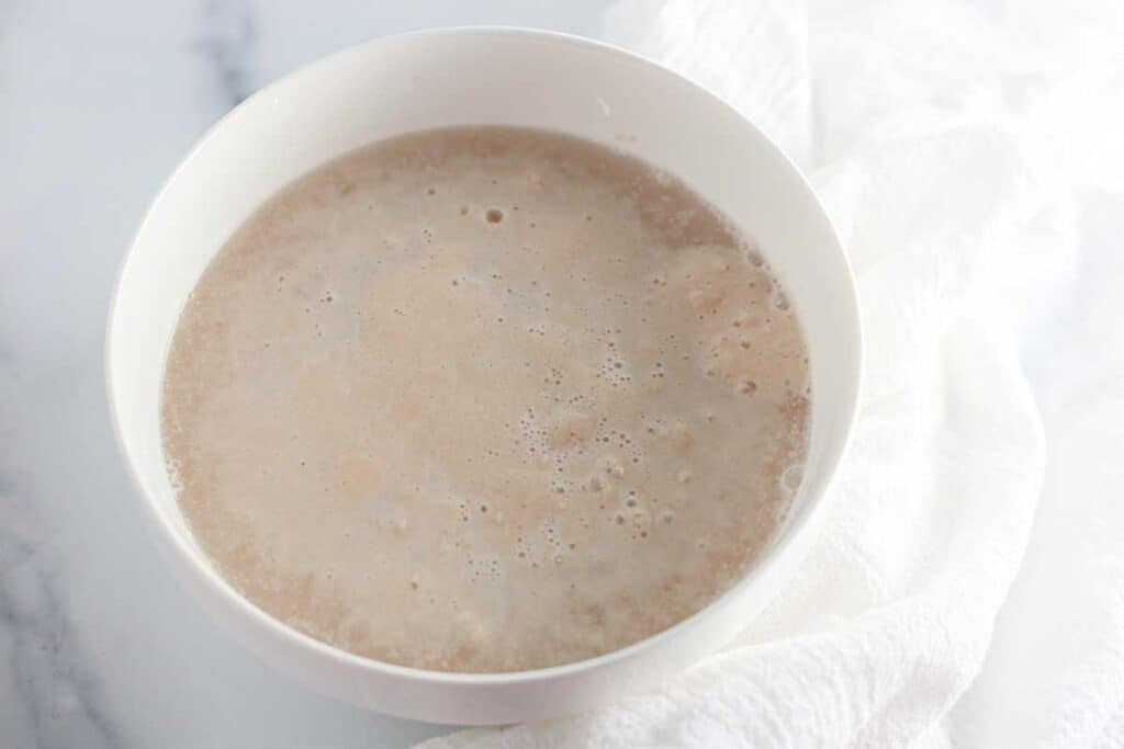 frothy bowl of yeast and water
