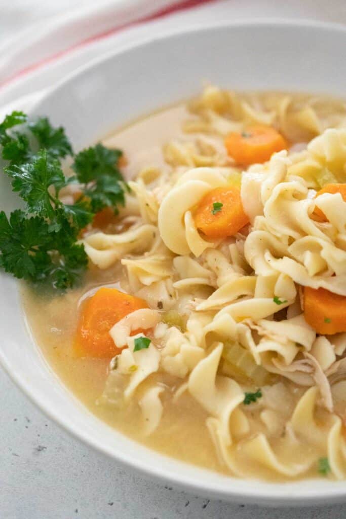white bowl with turkey noodle soup and sprig of parsley