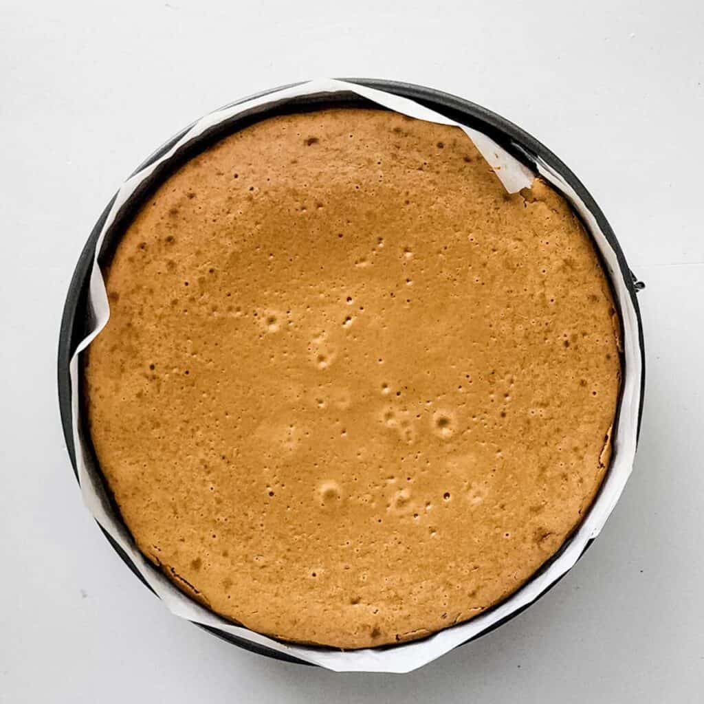 gingerbread cheesecake in springform pan after baking