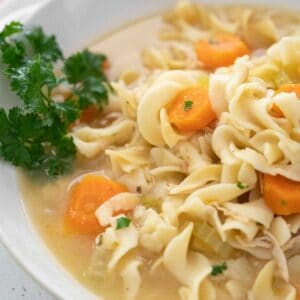 turkey noodle soup in white bowl with parsley