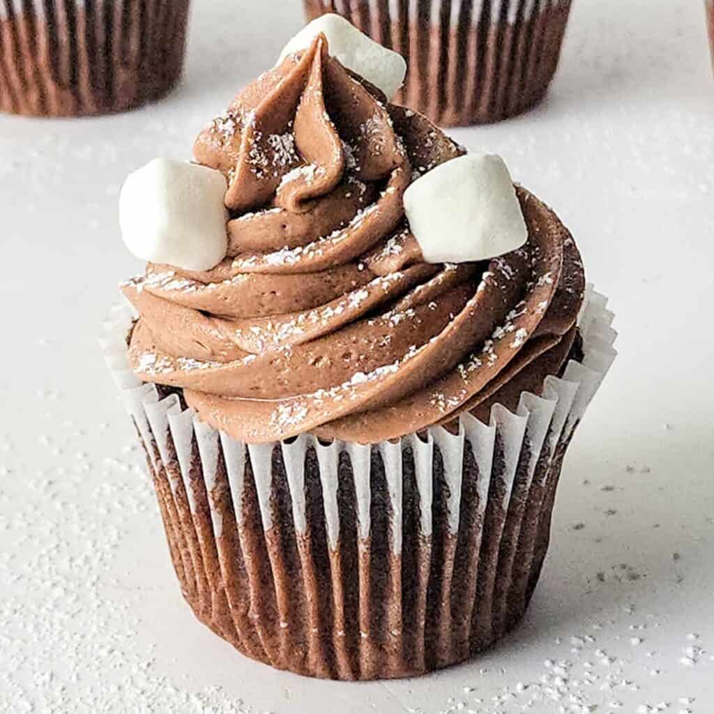hot cocoa cupcake with chocolate frosting and mini marshmallows on top