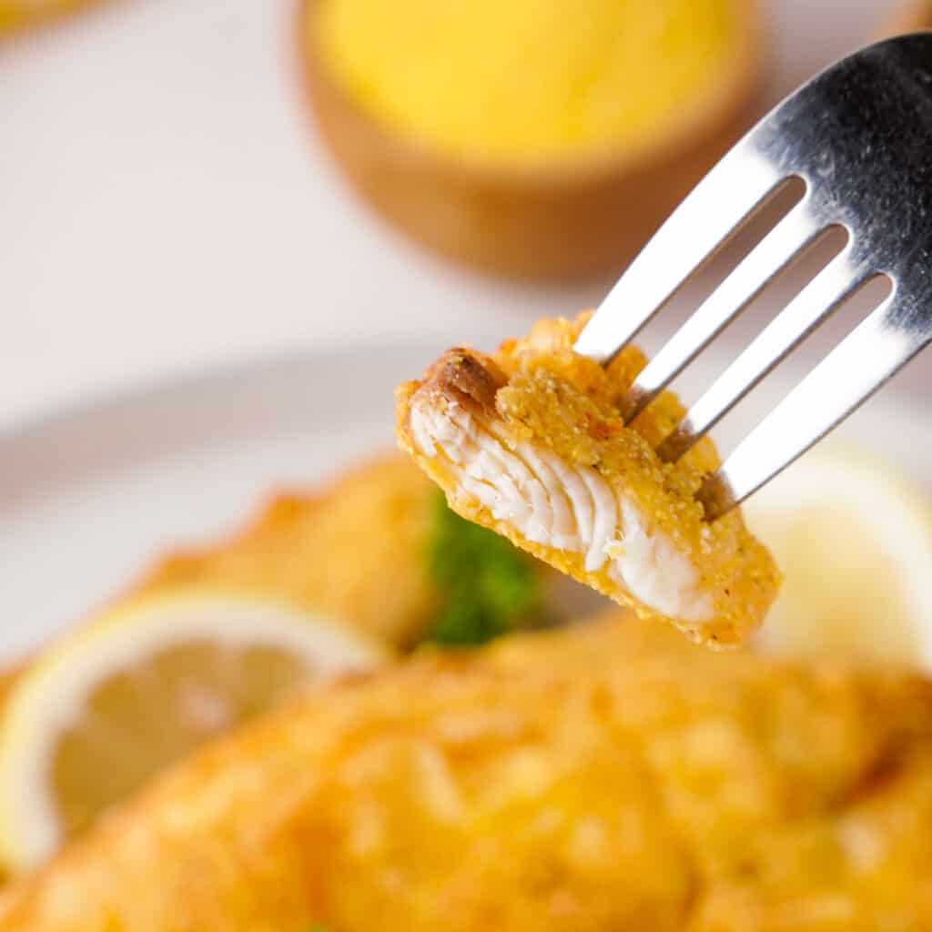 bite of fried catfish on fork