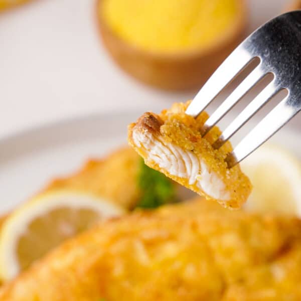 Crispy Southern Fried Catfish - The Happier Homemaker