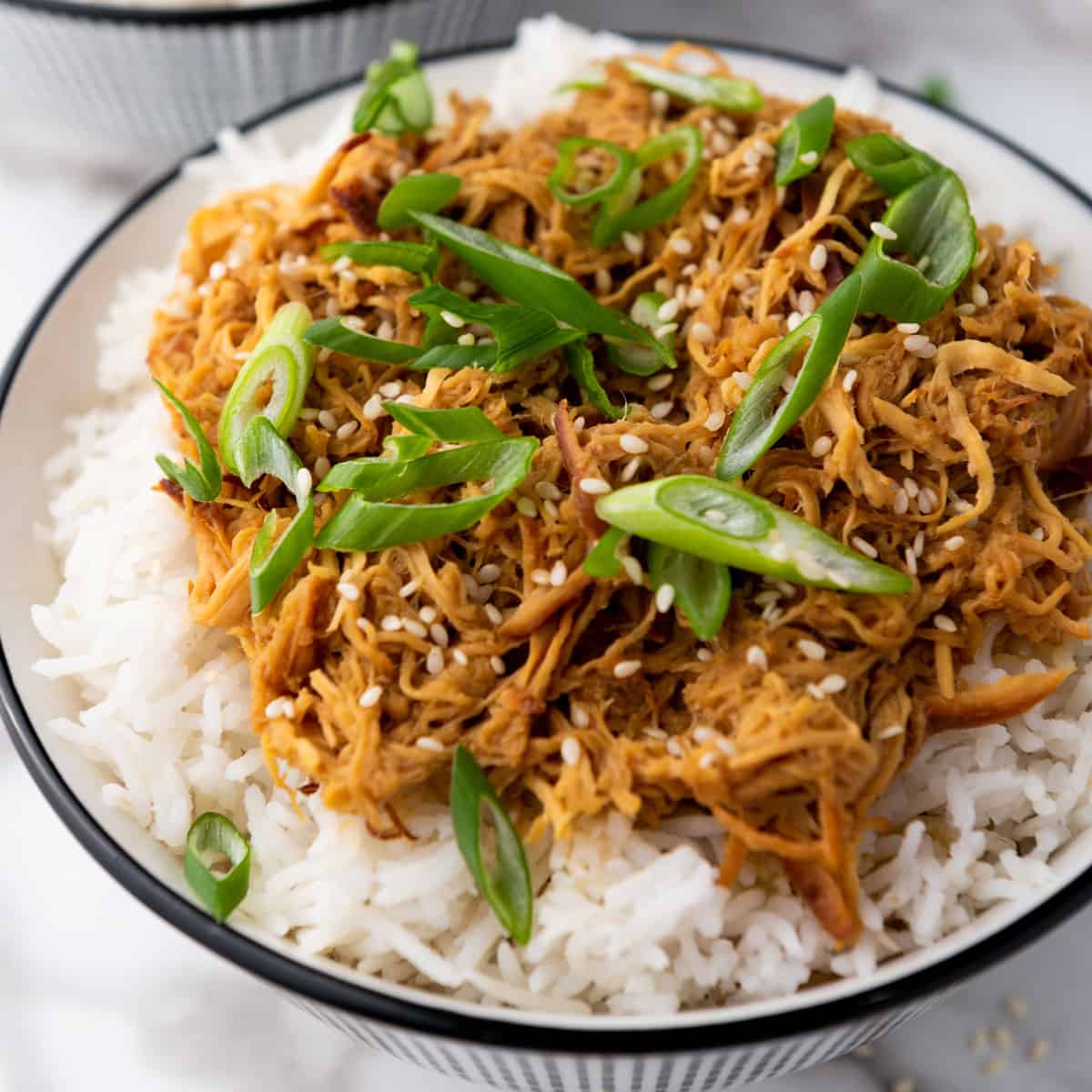 Slow Cooker Honey Garlic Chicken - The Happier Homemaker