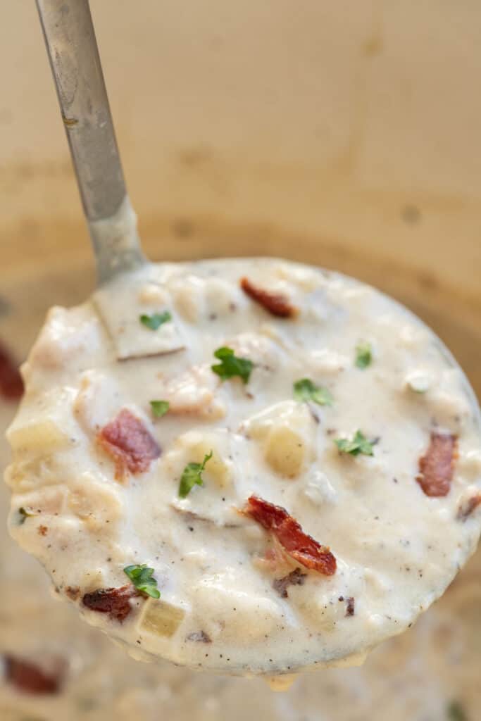 ladle full of New England clam chowder