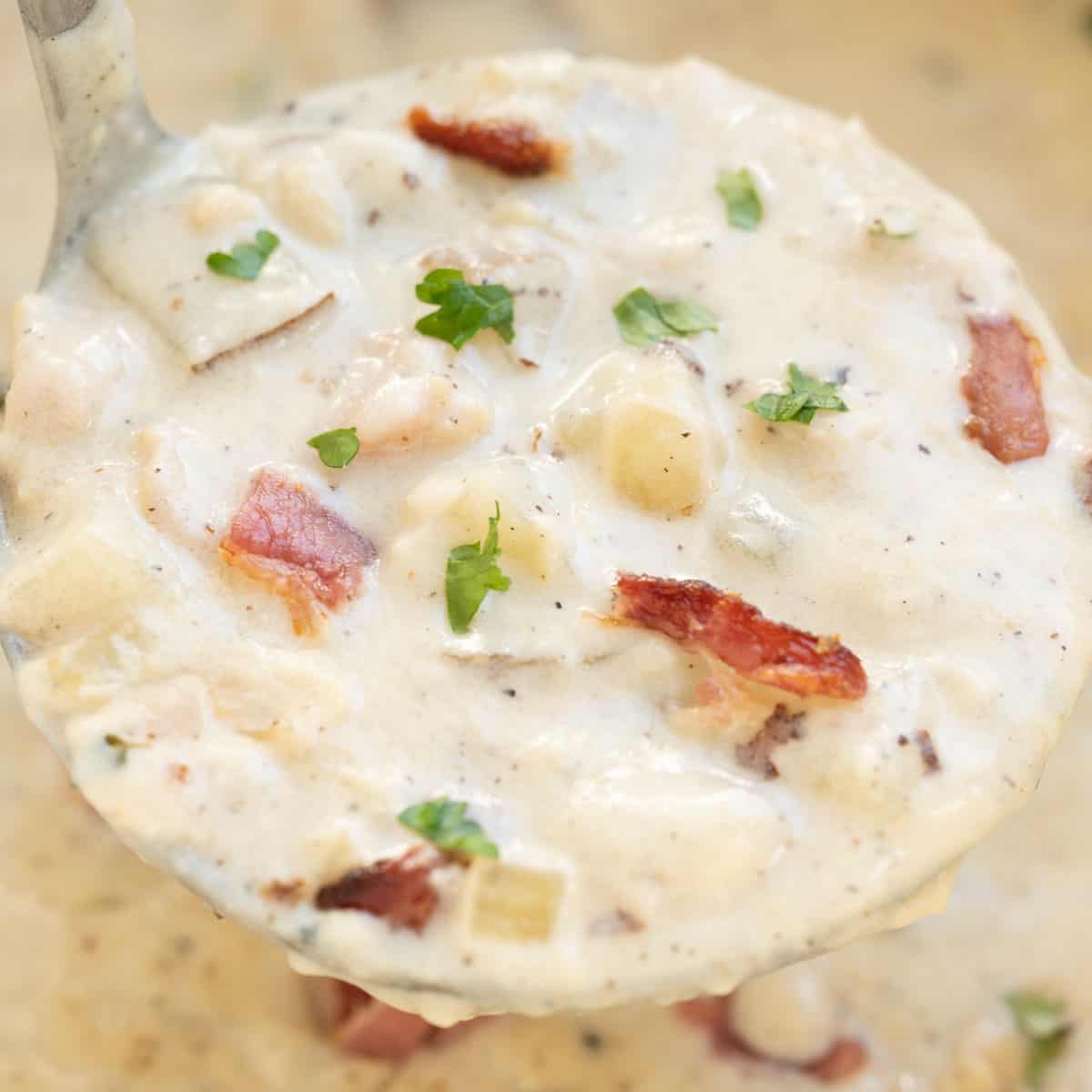 England sale clam chowder