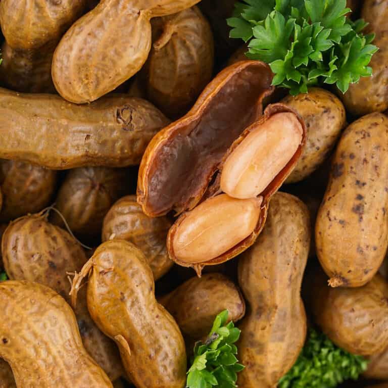 Slow Cooker Boiled Peanuts