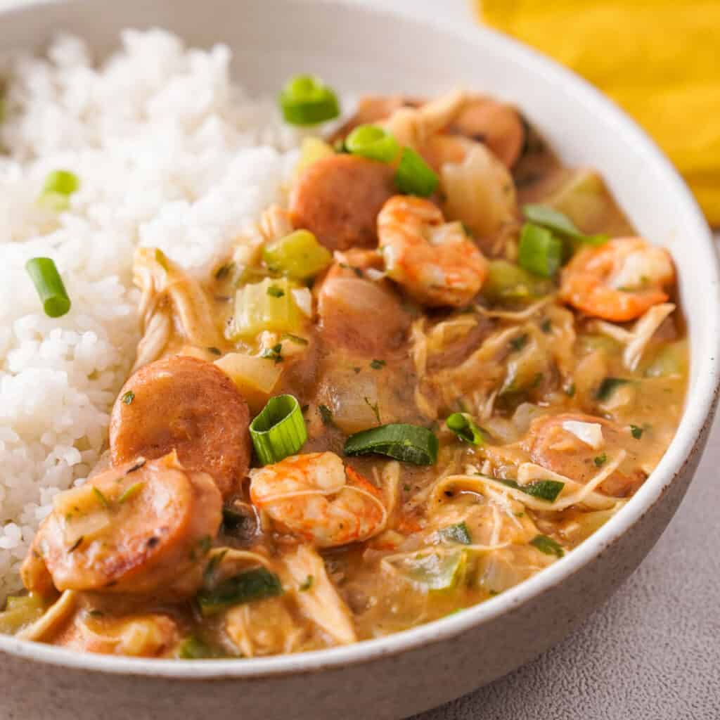 close up of gumbo and rice