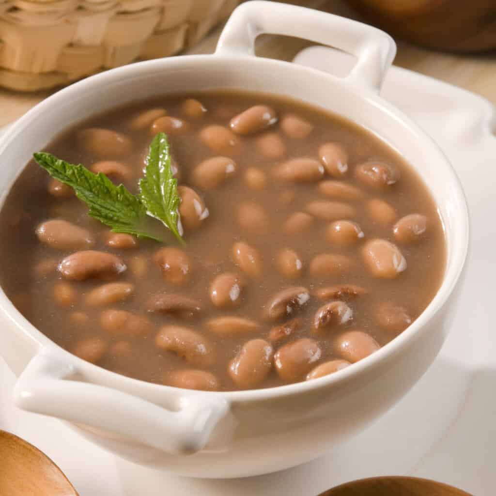white bowl with pinto beans