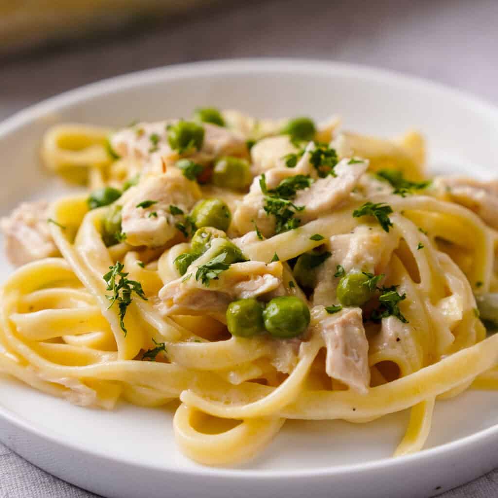 turkey tetrazzini on white plate