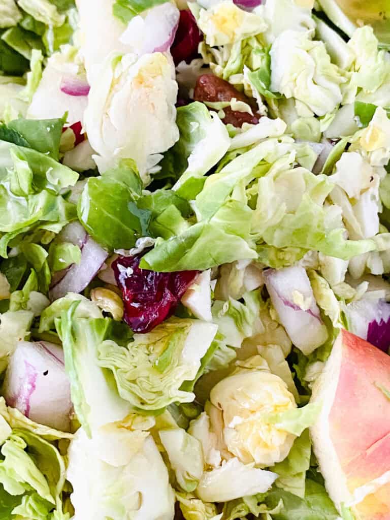 close up of brussels sprouts salad