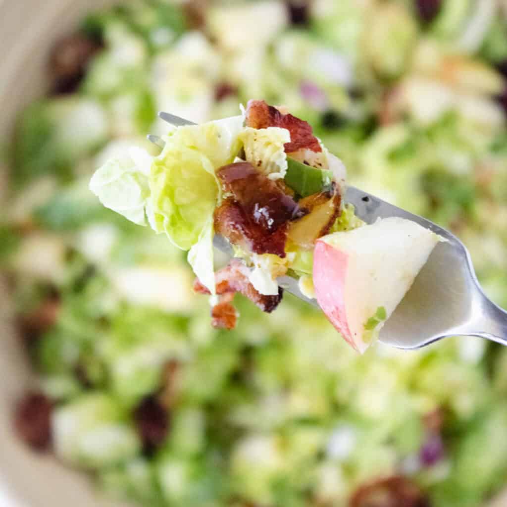 fork with brussels sprouts salad