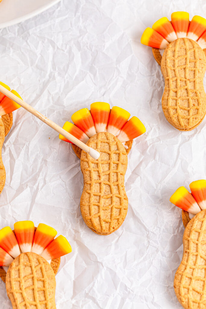 dabbing melted chocolate onto nutter butter to make Nutter Butter Turkeys