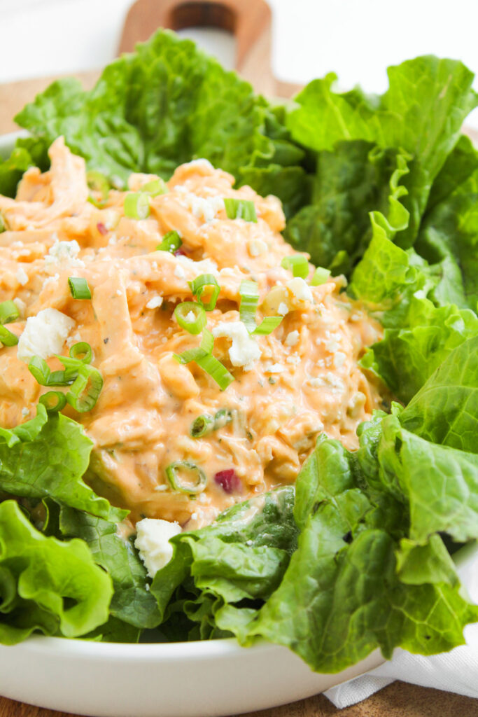 buffalo chicken salad in bed of lettuce