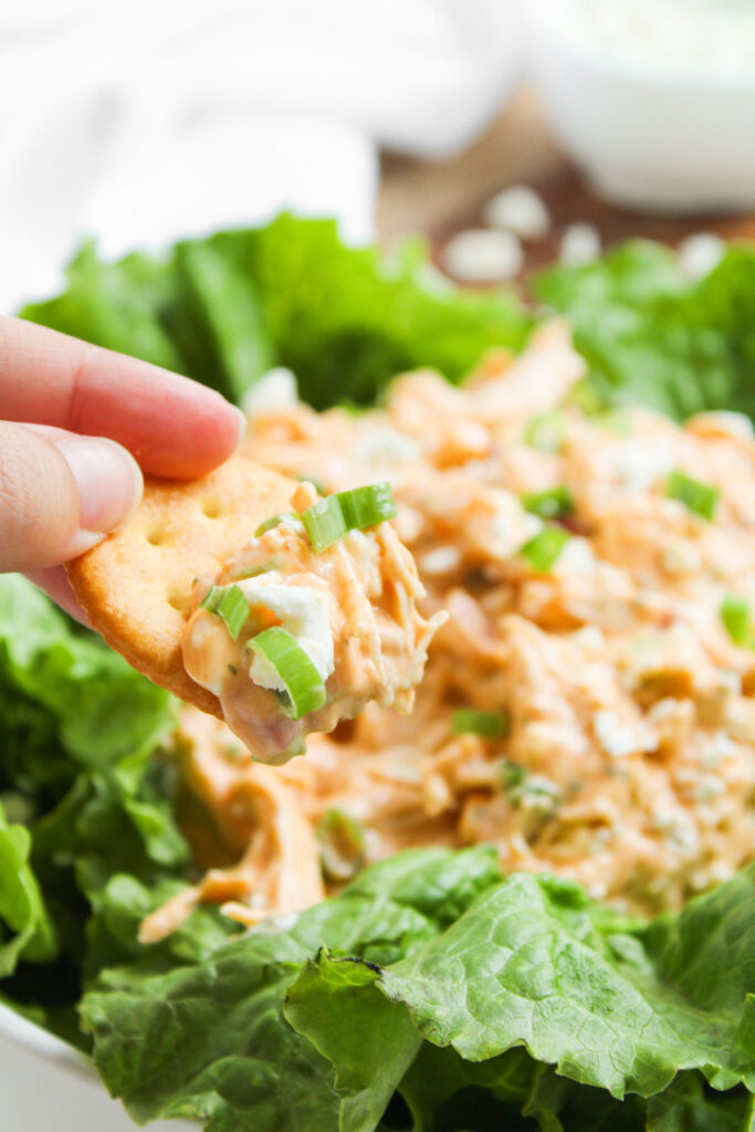 hand holding cracker with buffalo chicken salad