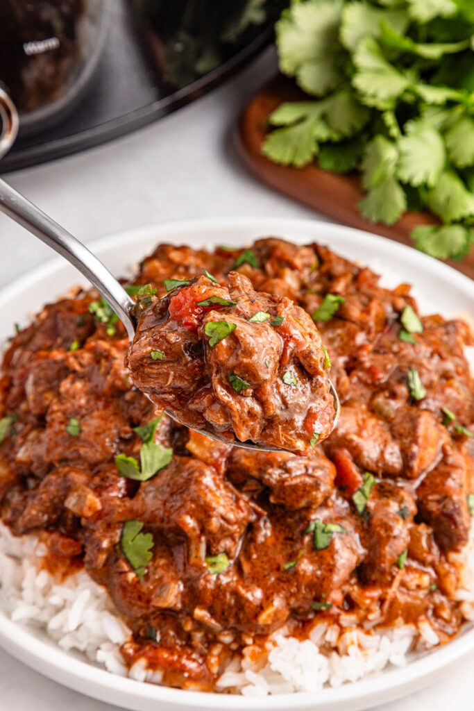 spoon holding slow cooker beef curry over plate